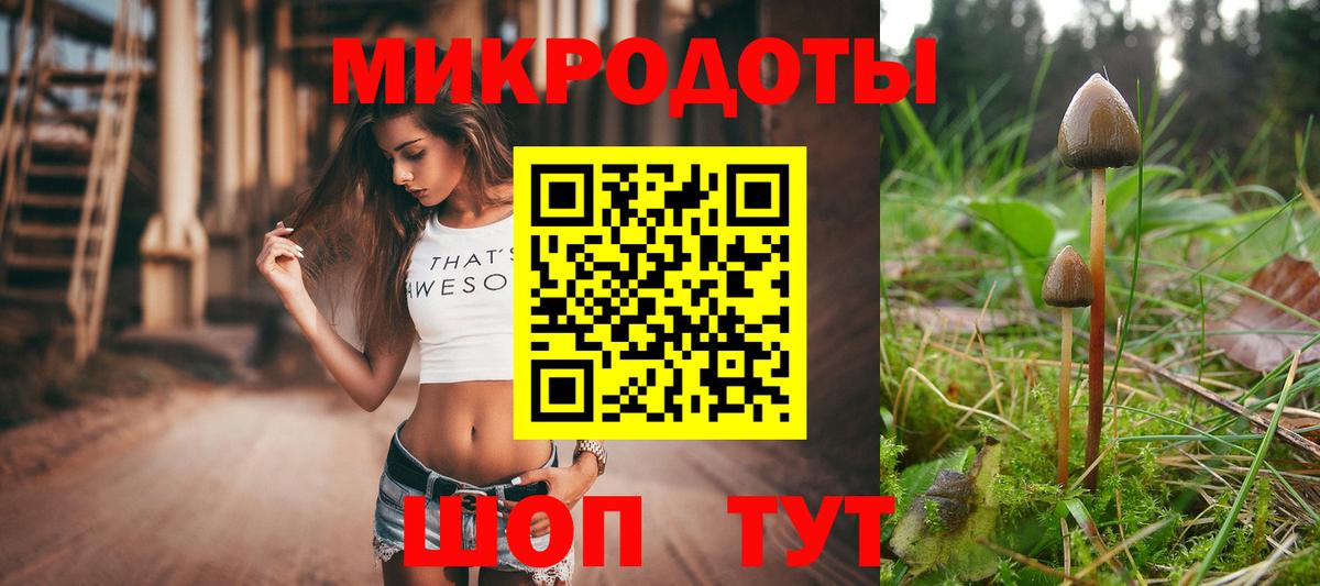 Галлюциногенные грибы Psilocybine cubensis Кувандык
