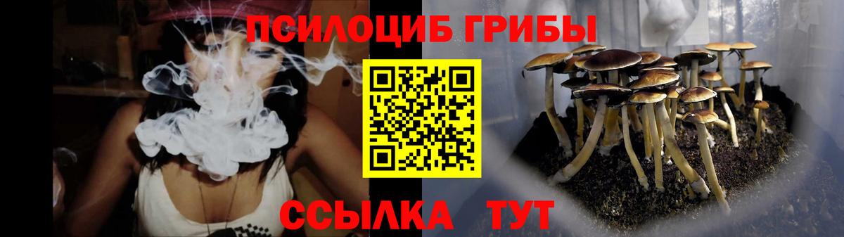 Псилоцибиновые грибы ЛСД  Вход с VPN  Псилоцибиновые грибы мицелий  Кувандык 